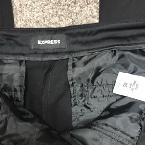 Express dress pants editor 10 short